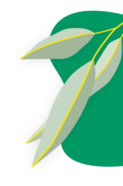 leaves-san10-right leaves-san10-right